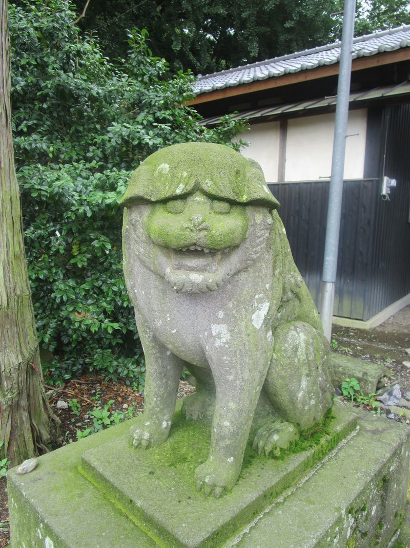 可愛い狛犬 社寺建築と神社史跡めぐり